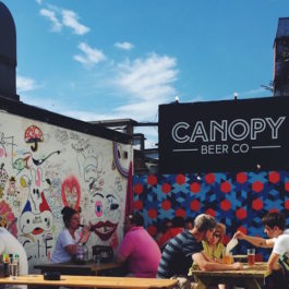 Canopy Beer Co.