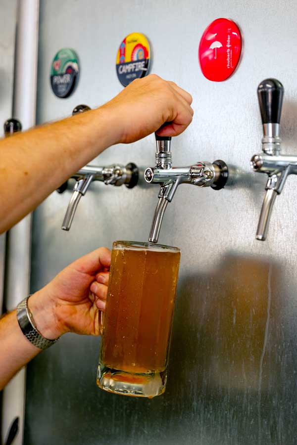 Man pouring a draft pint of umbrella cider